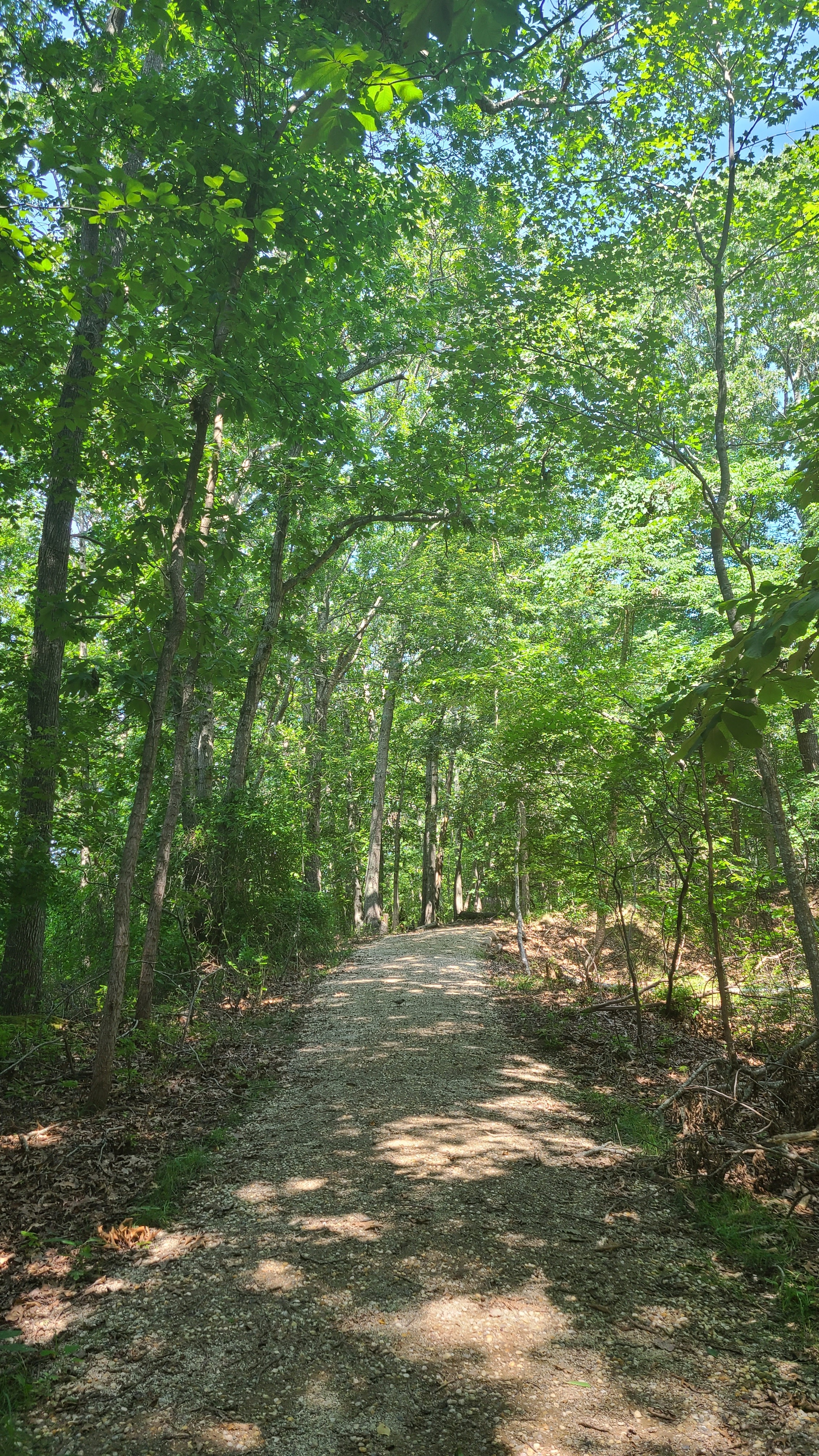 trail at the Wolf Preserve