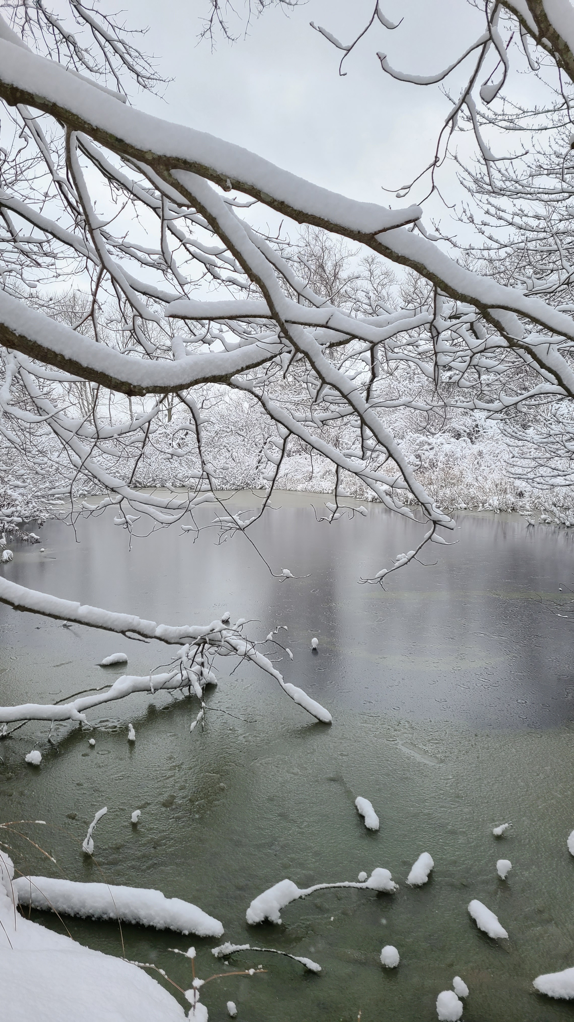 pond with snow