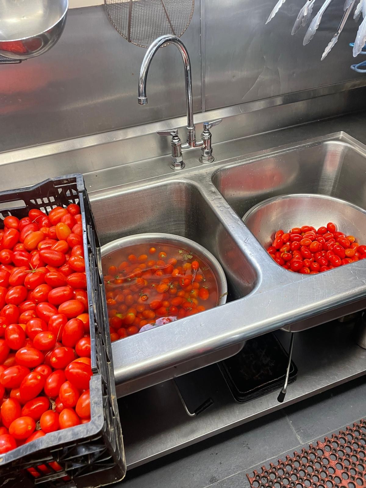 tomatoes in kitchen