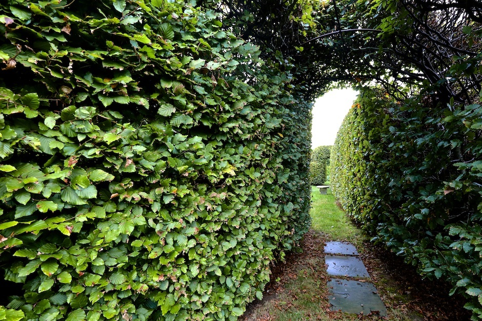 Hedges at Bridge Gardens