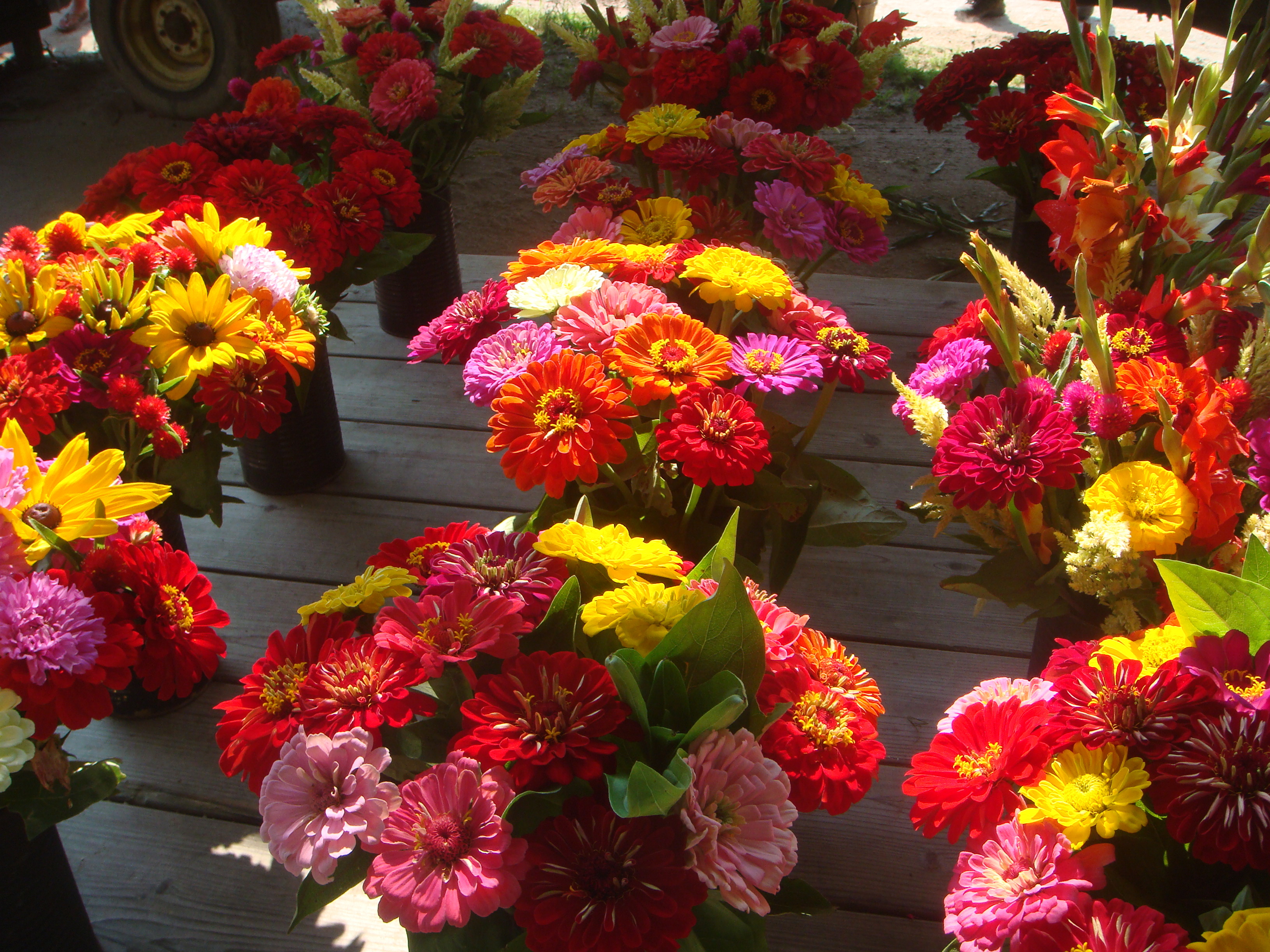 Flowers at Pike Farmstand