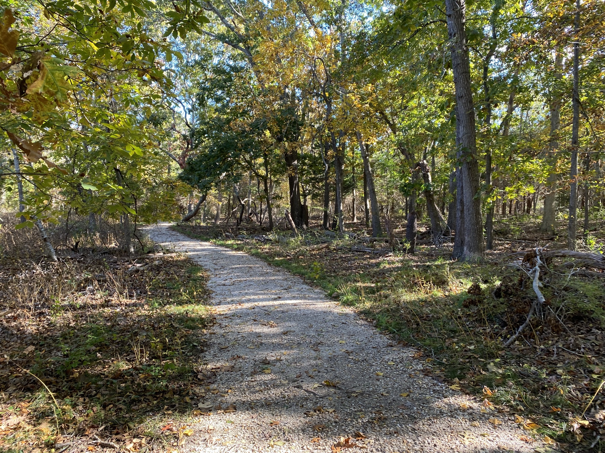 Trail at the Wolf Preserve