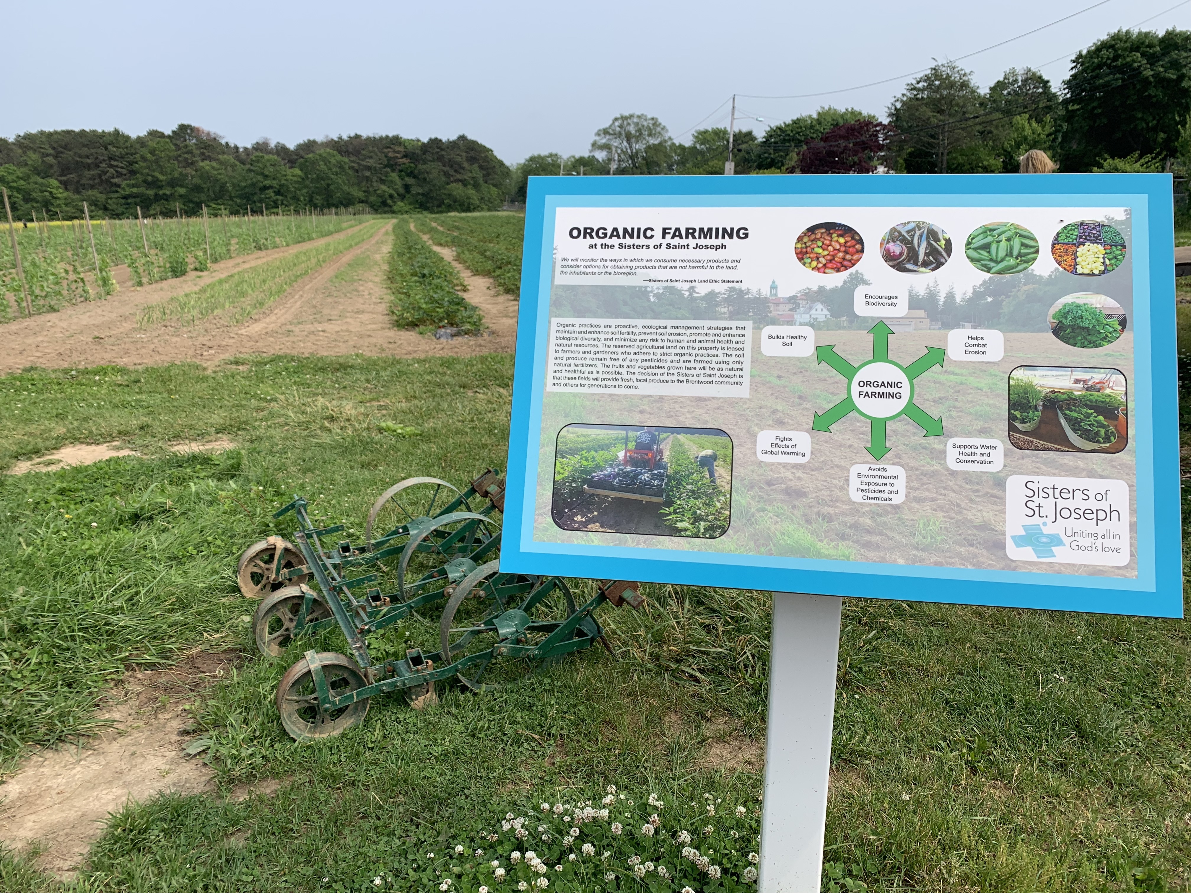 organic farming sign with old tractor in the background