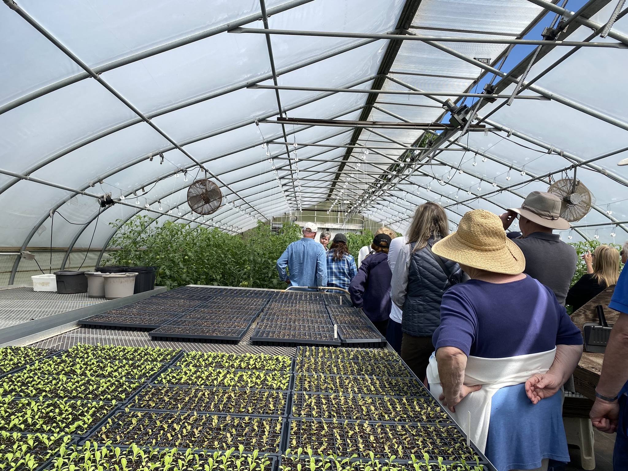 touring the greenhouse