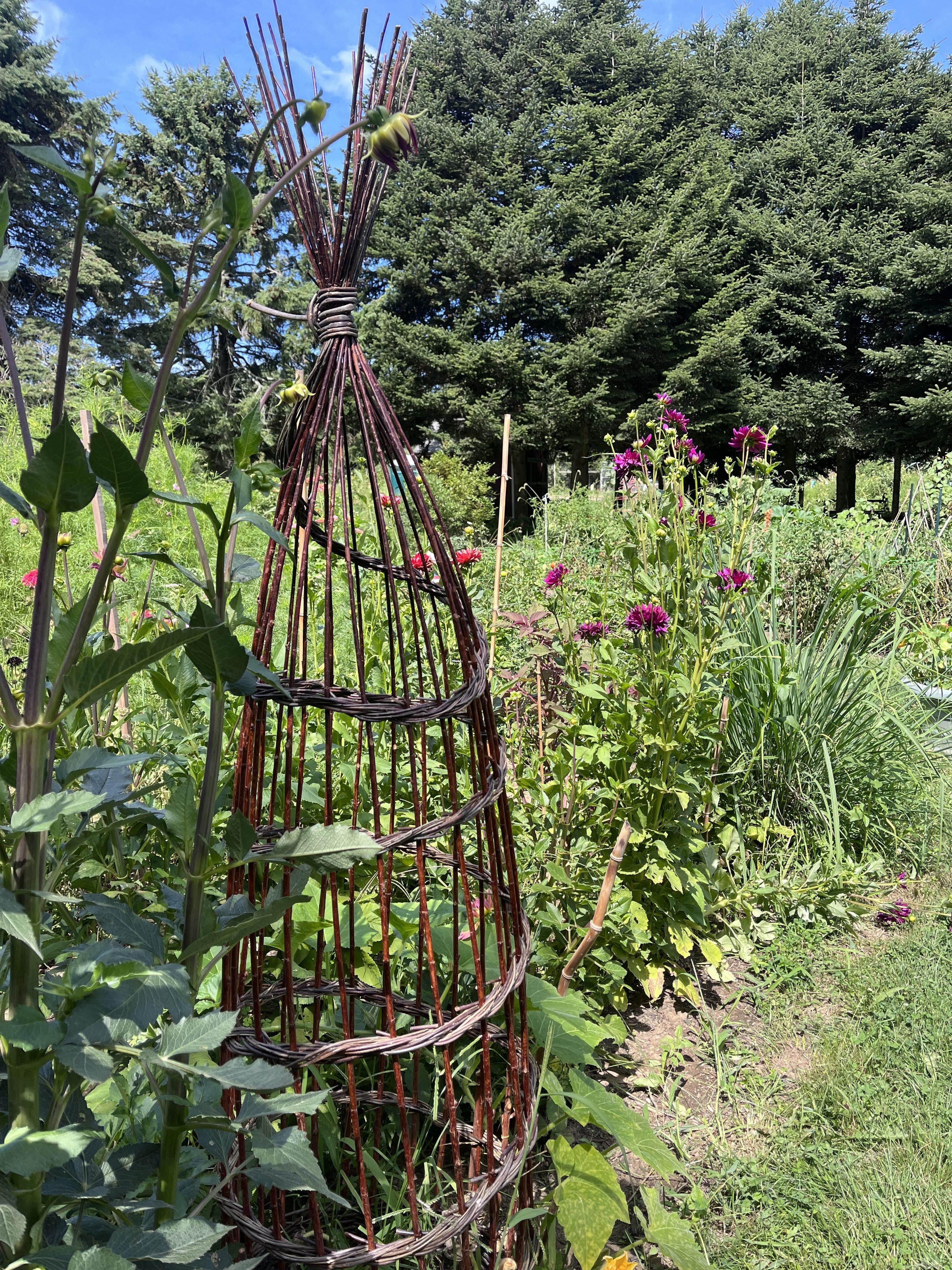 community garden plot with basket