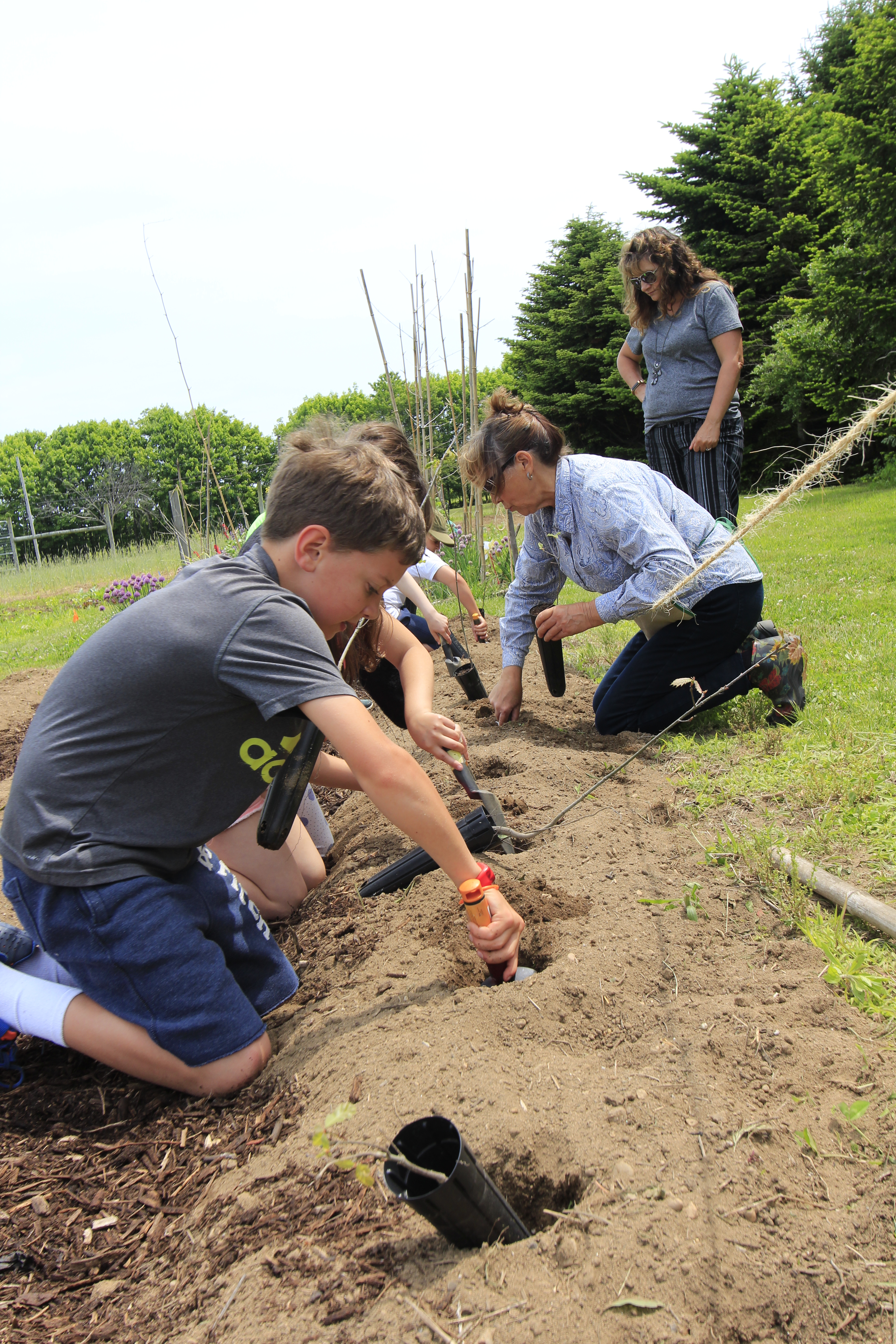 Students planting in the community garden
