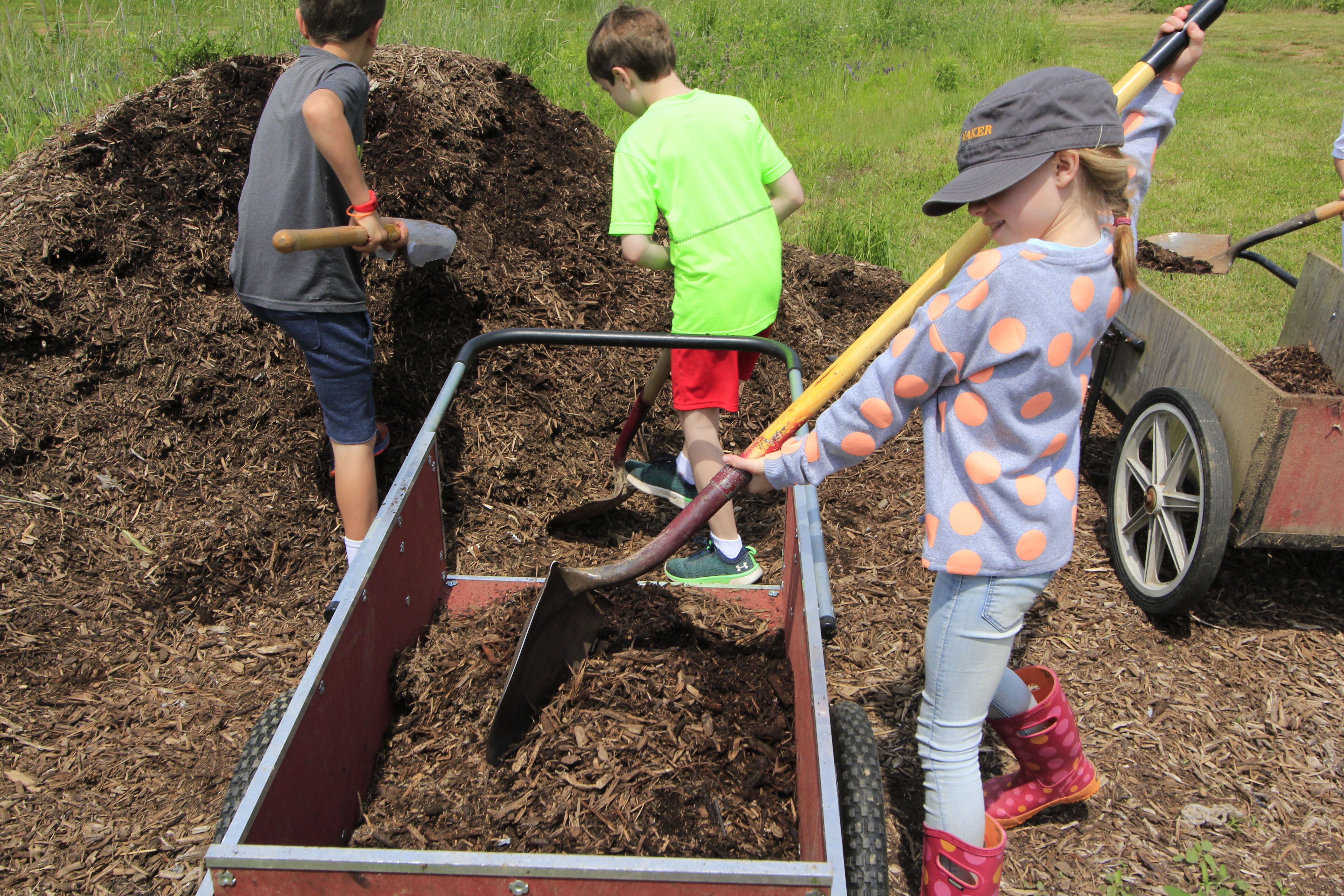 Students moving soil at the community garden