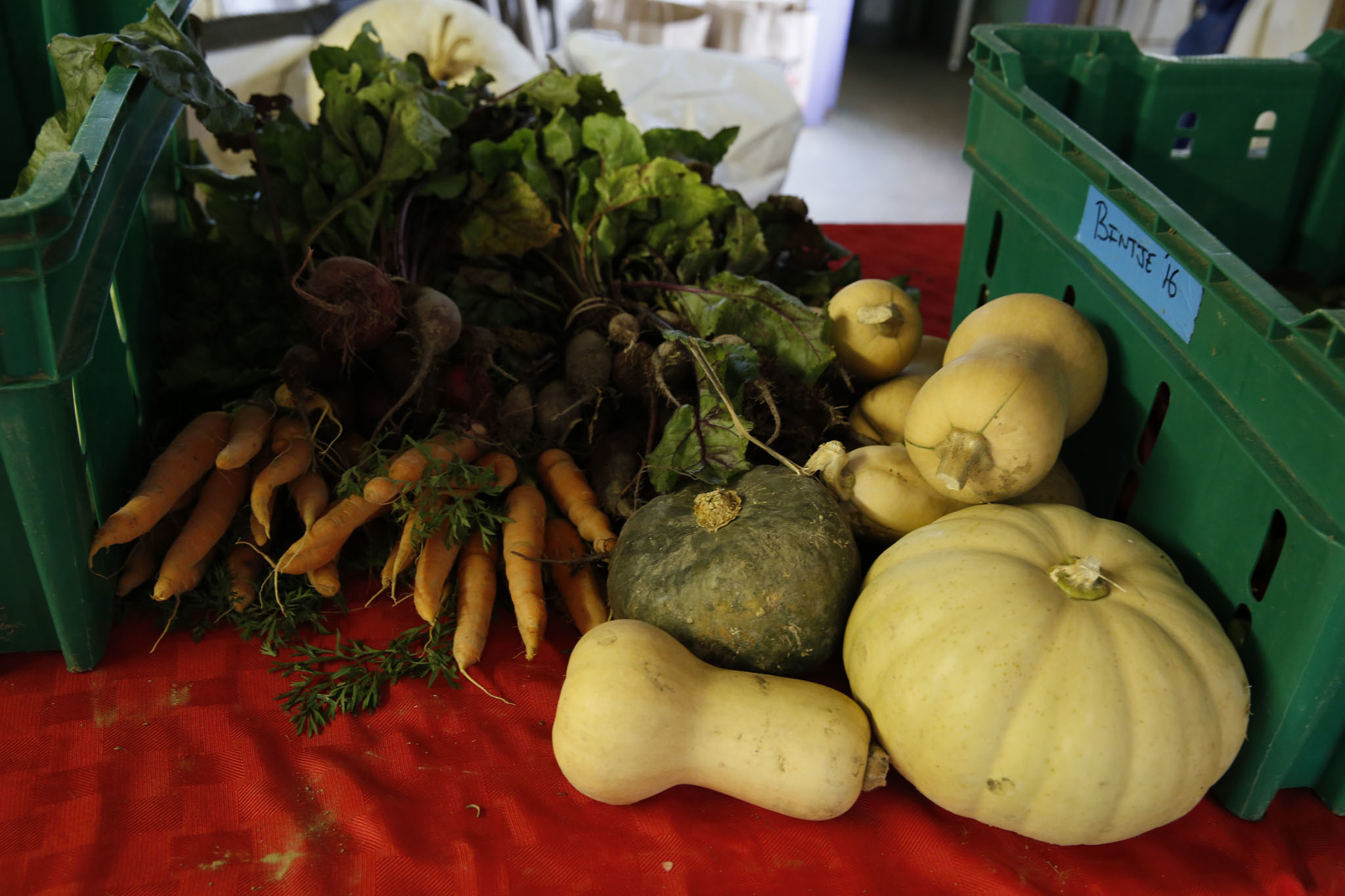 Autumn produce at Quail Hill Farm including carrots and squash