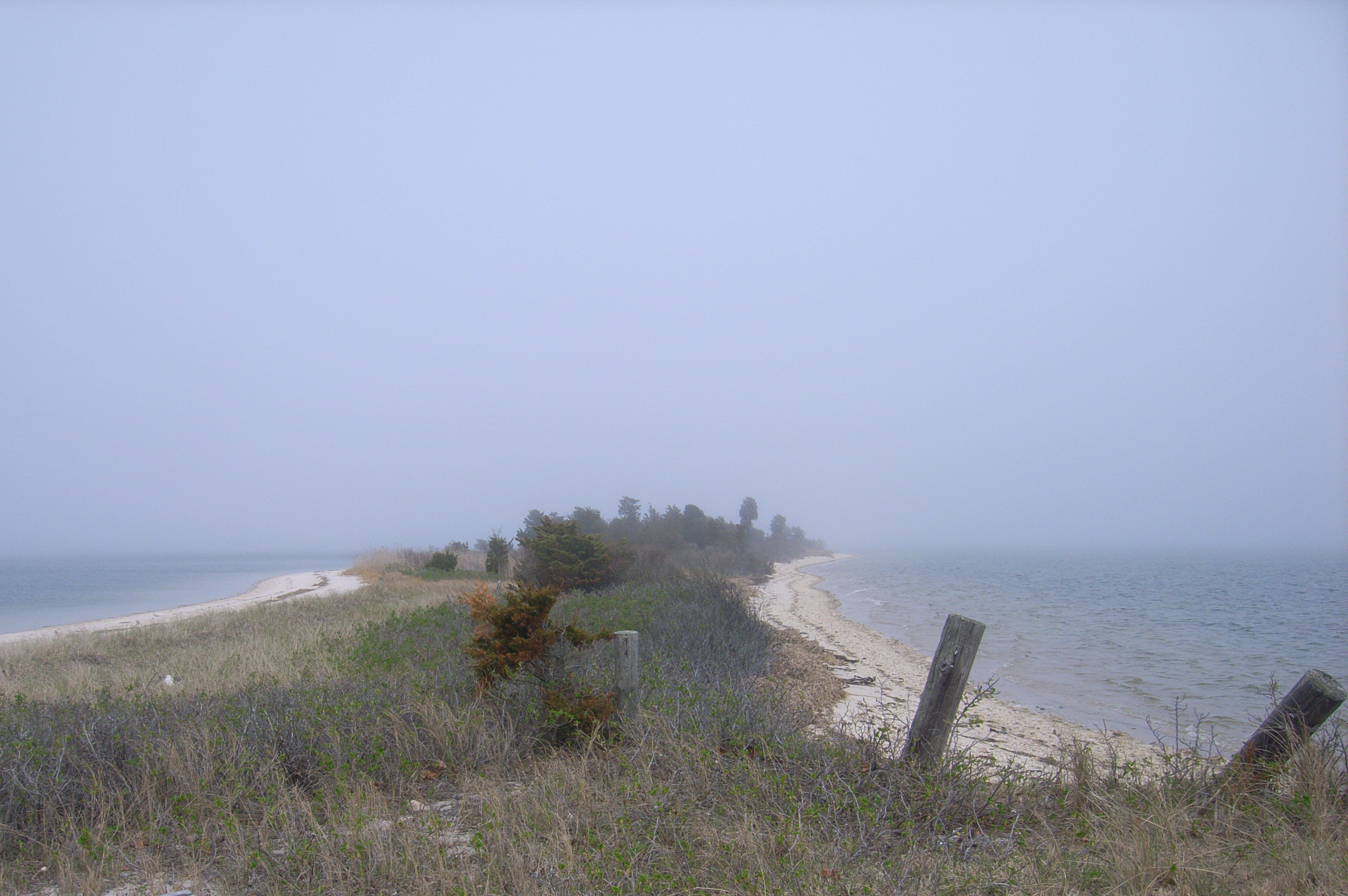 view of East Point Preserve