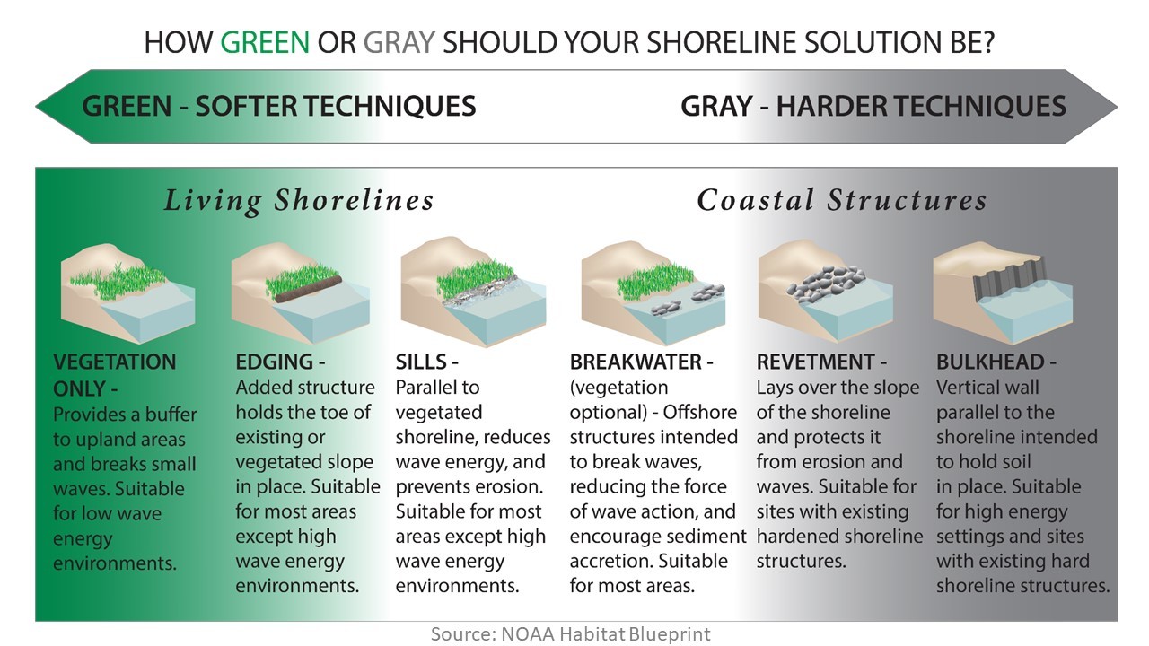Slide5 Green vs Gray Techniques Chart