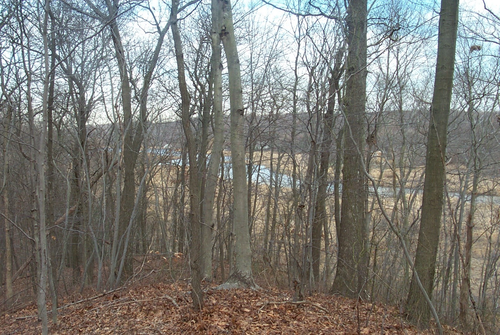 View of the Nissequogue River