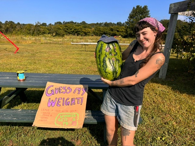 Watermelon Contest