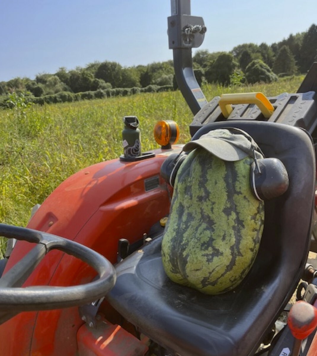 Watermelon on Tractor Resized