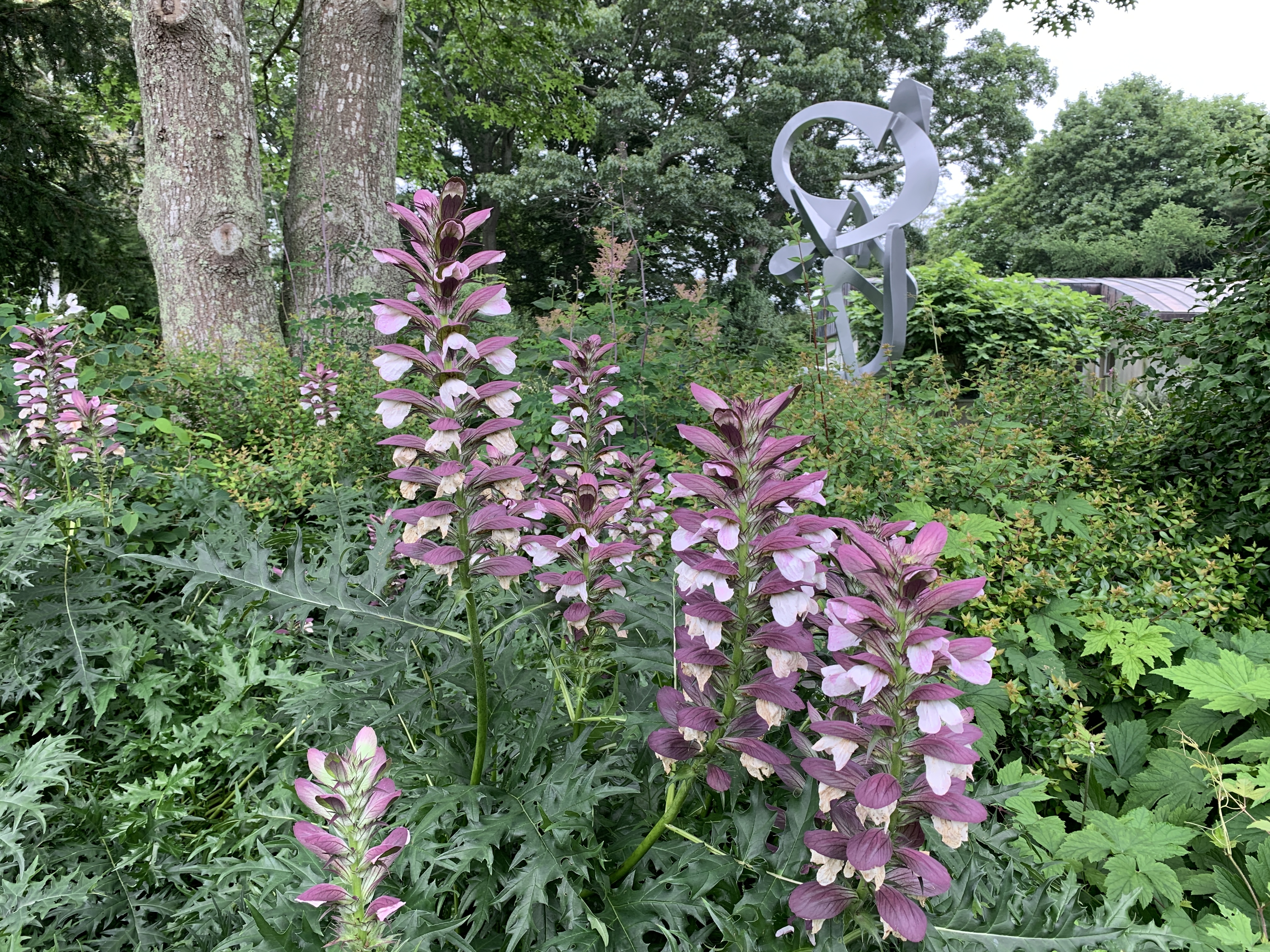 Acanthus blossoms frame a sculpture by Kevin Barrett