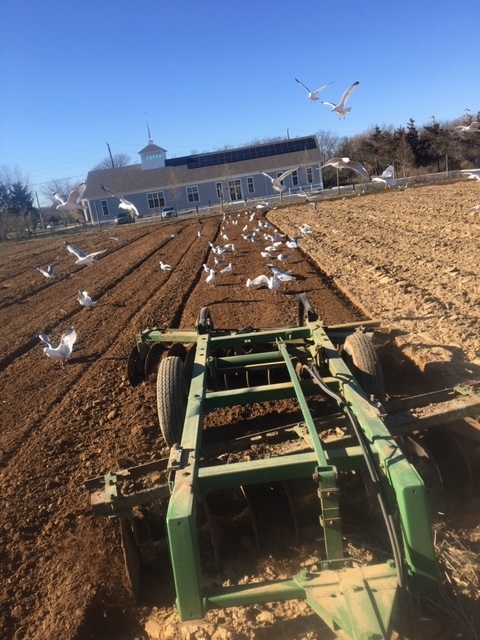 plowing fields at the Ag Center