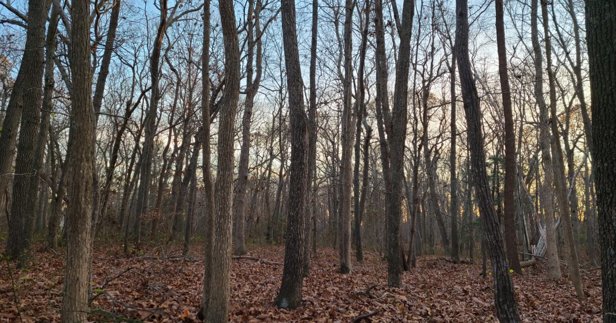 New Preserve Dawns on Great Hog Neck