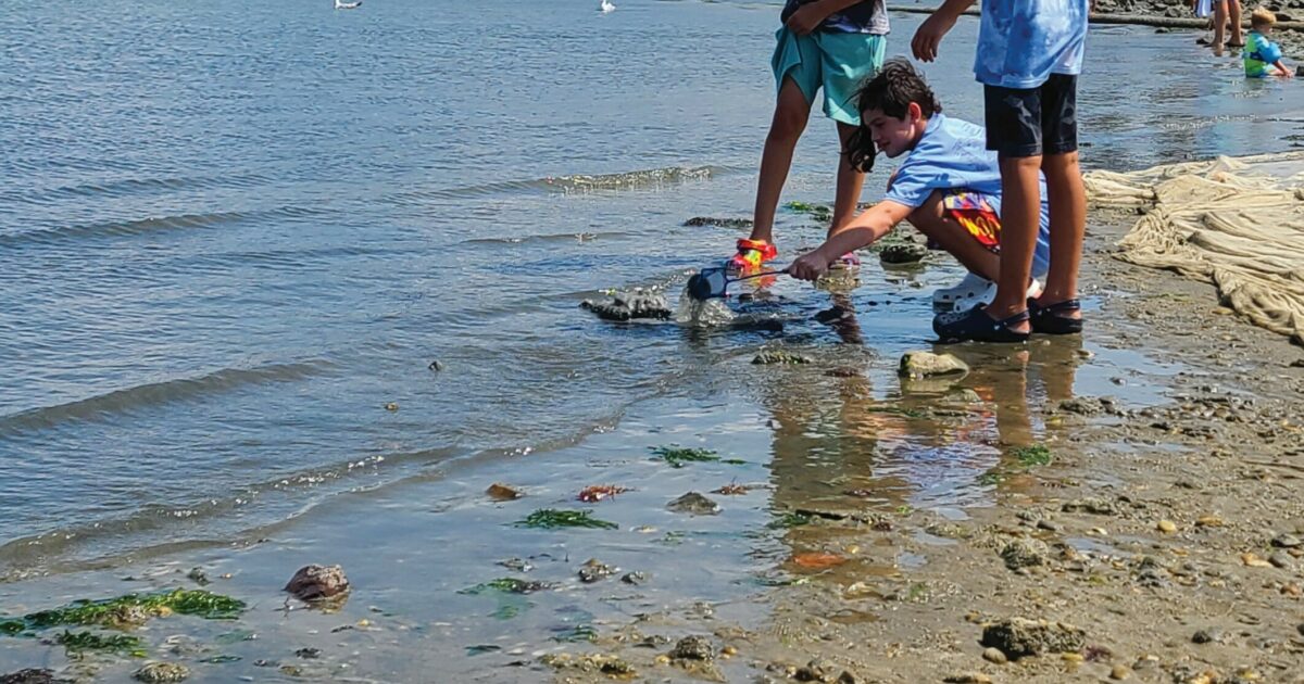 Exploring the Waters of Shinnecock Bay