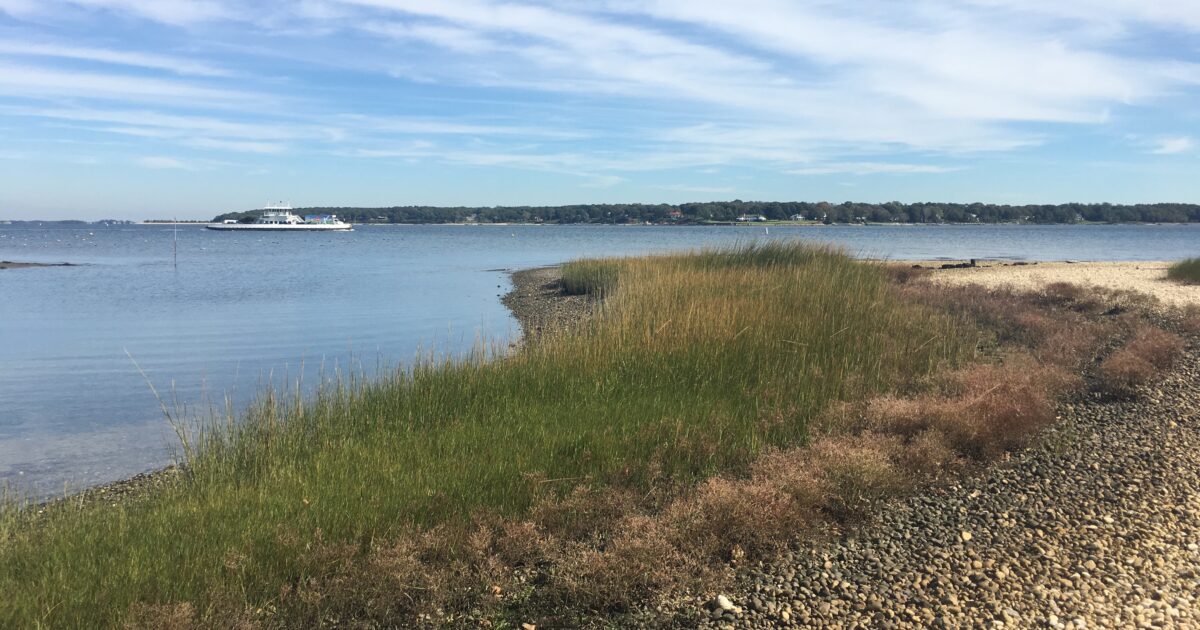 Widow’s Hole Preserve Update: Spring Restoration