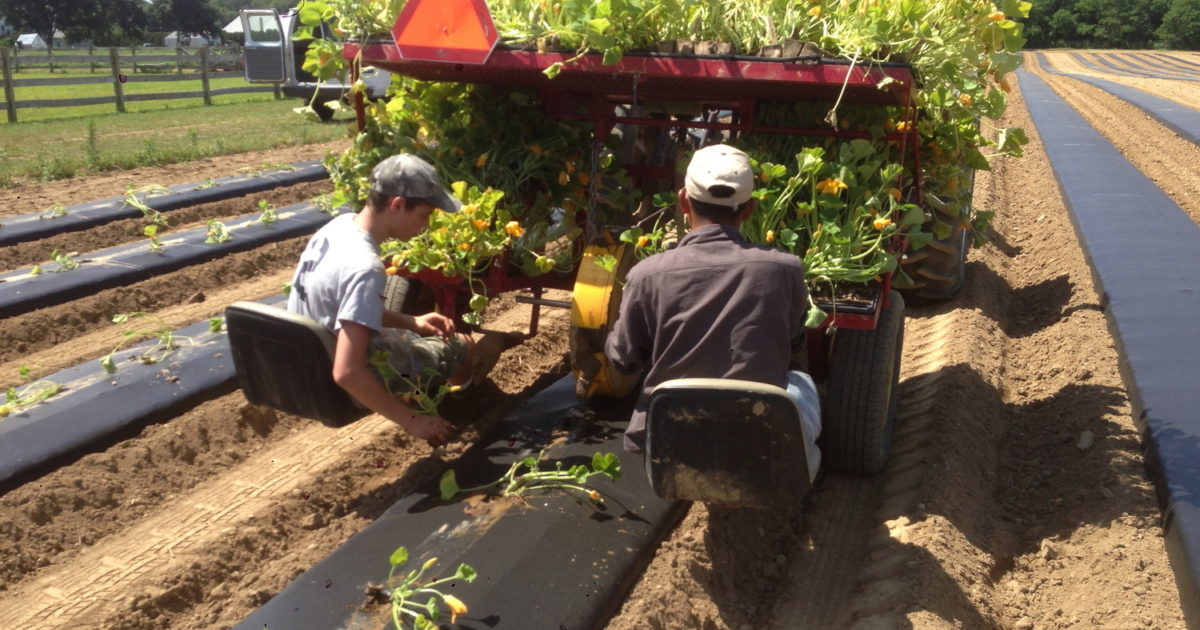 Tour and Tasting at Sang Lee Farms