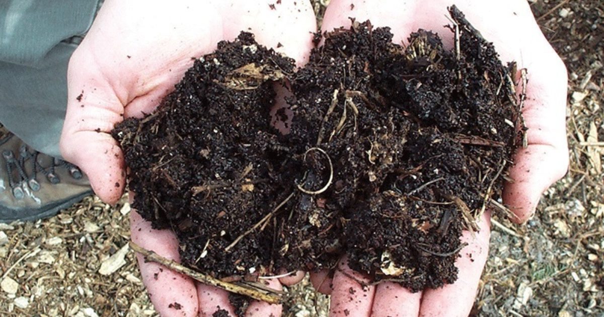 Kitchen Compost Creates Healthy Soil - Pike County Conservation District