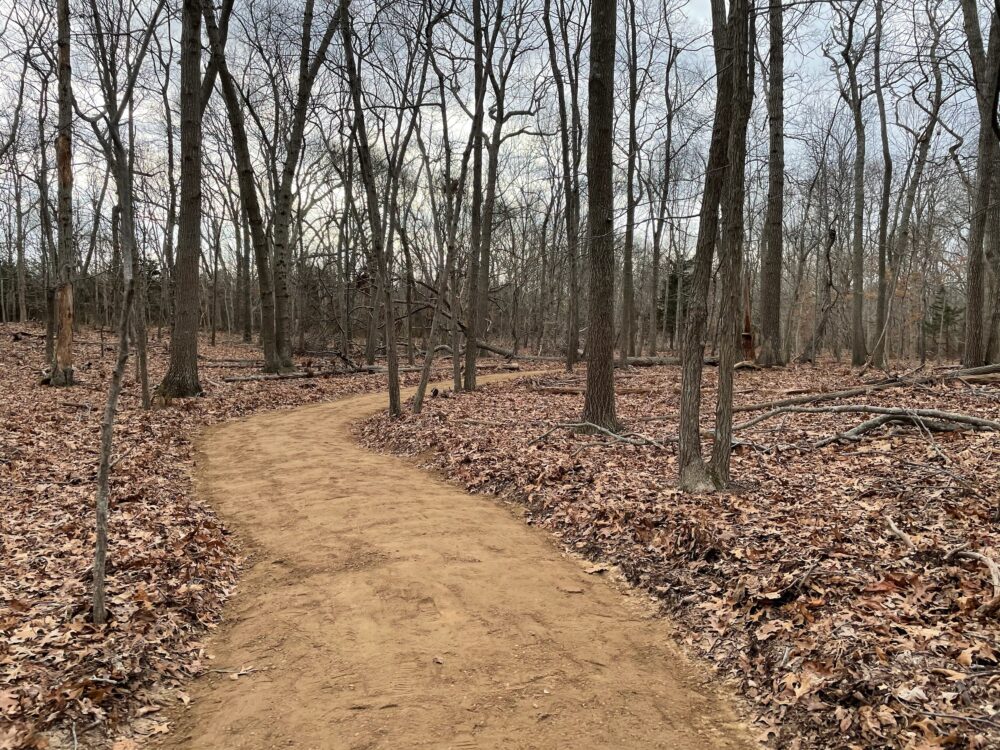 New Eastern Trail Loop at the Wolf Preserve
