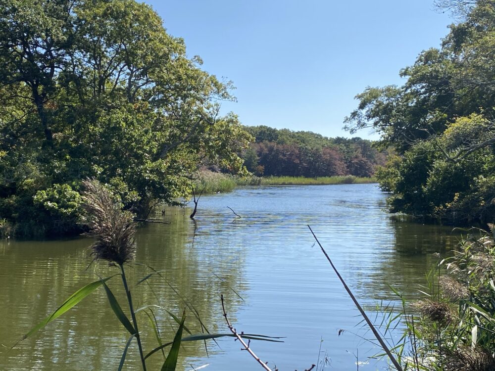 Overlook of Georgica Pond