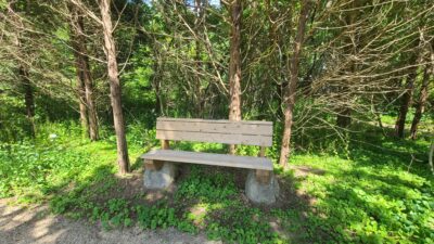 bench at Wolf Preserve