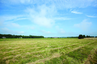 Danilvesky Field 