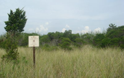 Preserved field at Dune Road I, II, and Conason Preserves
