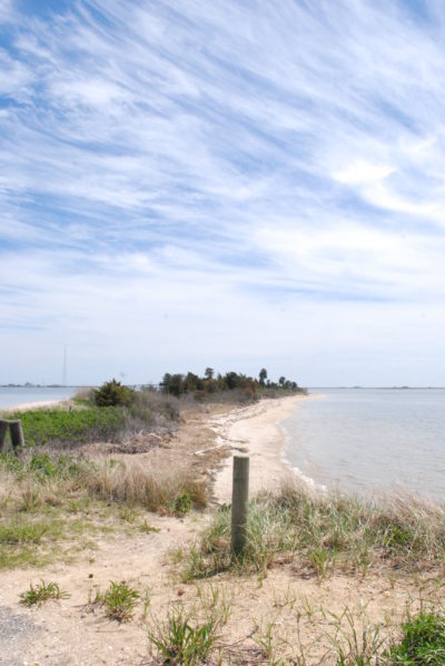 East Point Preserve 