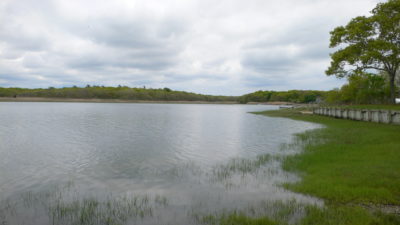 Dam Pond Southold 