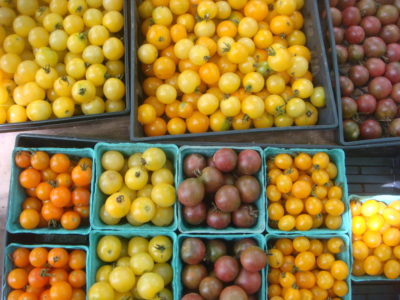 Boxes of tomatoes from Quail Hill Farm
