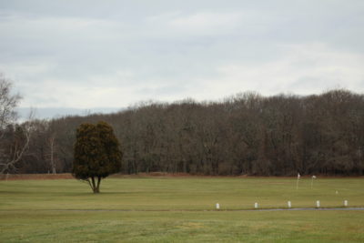 View of Islands End Golf Course with a tree to the left 