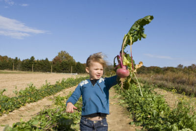 Boy at Quail Hill Farm holding a vegetable