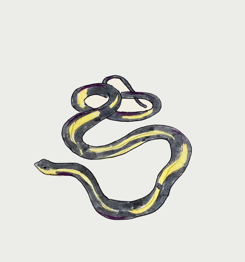 Garter Snake 2.0